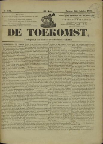 De Toekomst (1862-1894) 1891-10-25