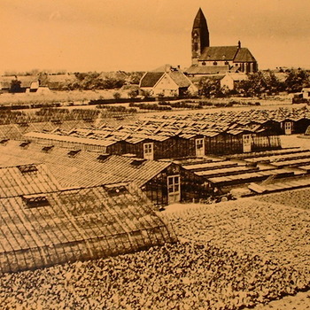 Uitzicht op het tuinbouwcentrum en Rk Kerk van Huissen Zand voor de oorlog