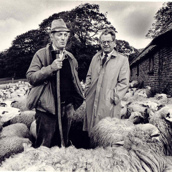 Herder Bart van de Brandhof met de heer J. Stomhorst, tussen de schapen