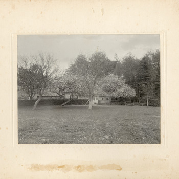 Zwart-wit foto van de zuidgevel van 'de Steeg' met de appelboomgaard in volle bloei 20 mei 1915