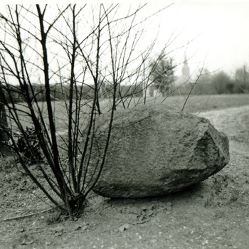 Foto genomen in de velden in de buurt van het Burgers Dierenpark te 's-Heerenberg ca. 1950