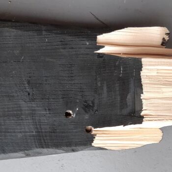 Afgeschoten delen van een schietschijf 'de vogel' genaamd van hout en geverfd zoals gebruikt bij het koningschieten bij EMM Lobith circa 2015