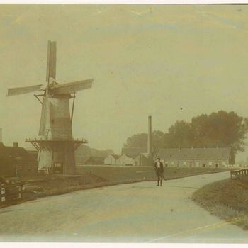Foto, voorstellende de Kleine Buitenom met molen de Koornvriend, Culemborg, vóór 1909