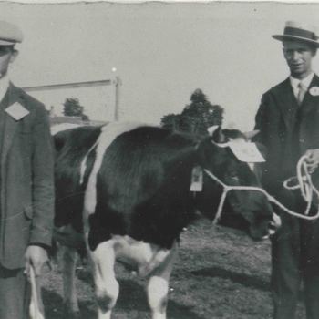 Foto, voorstellende landbouwtentoonstelling aan de Westersingel te Culemborg, 1925