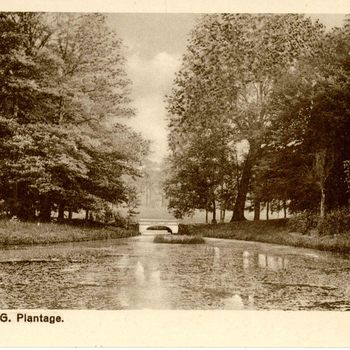 Ansichtkaart, voorstellende de Plantage te Culemborg, 1905 - 1914