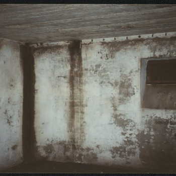 Bunker Diogenes
