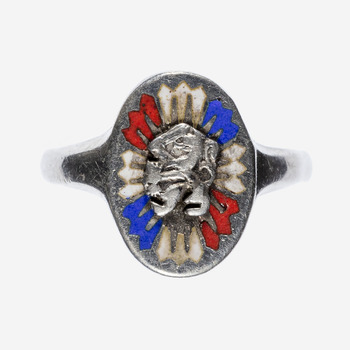 ring, met daarop de afbeelding van de Nederlandse Leeuw met rood-wit-blauwe pijltjes.