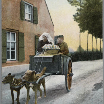 Vrouw en man in Noord-Brabantse dracht op een hondenkar, 1902–1905