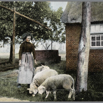 Vrouw in Noord-Brabantse dracht met schapen, 1902–1905