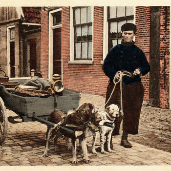 Man in Volendammer dracht met een hondenkar, 1905-1926
