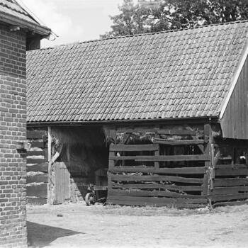 Schuur, Vriezenveen, 1947