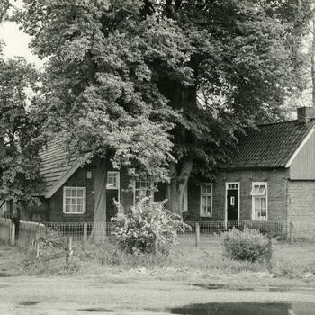 Boerderij 'Erve De Hamerboer', Geesteren, 1965