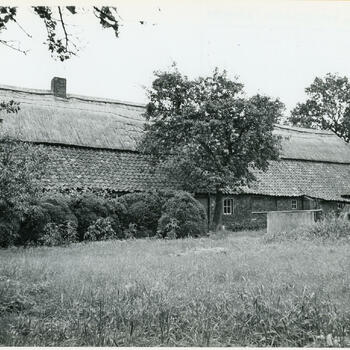 Boerderij, Budel, 1954