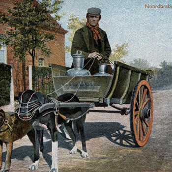 Man in Noord-Brabantse dracht op een hondenkar, 1902–1905