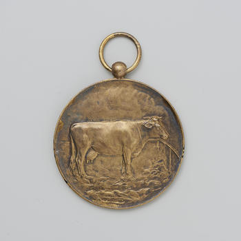 Bronzen medaille, Terborg, 1930
