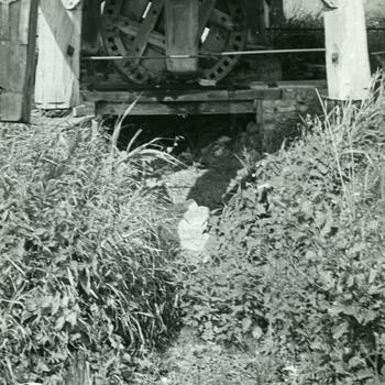 Poldermolen, Giethoorn, 1947