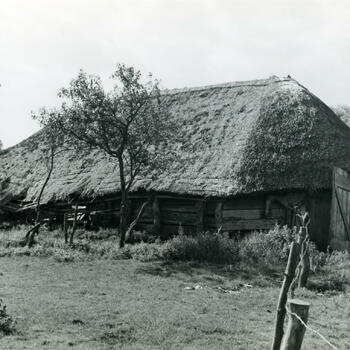 Schaapskooi, Daarle, 1952