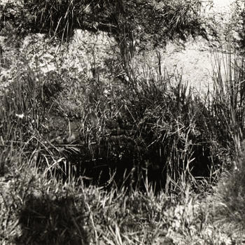 Waterput, Staphorst, 1950