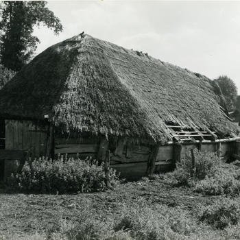 Schaapskooi, Daarle, 1952