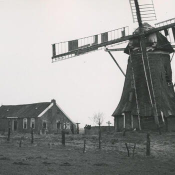 Poldermolen, Noordlaren, 1952