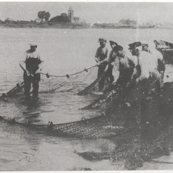Zalmvisserij met net vissers in Waal