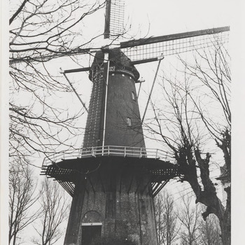 De molen Prins van Oranje te Buren.