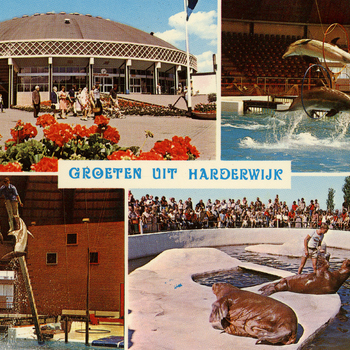 Prentbriefkaart, getiteld 'Groeten uit Harderwijk'