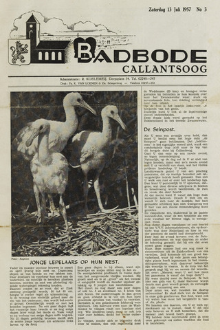 Badbode voor Callantsoog 1957-07-13