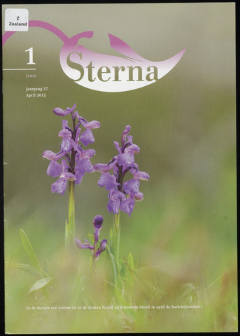 Sterna 2012-04-01